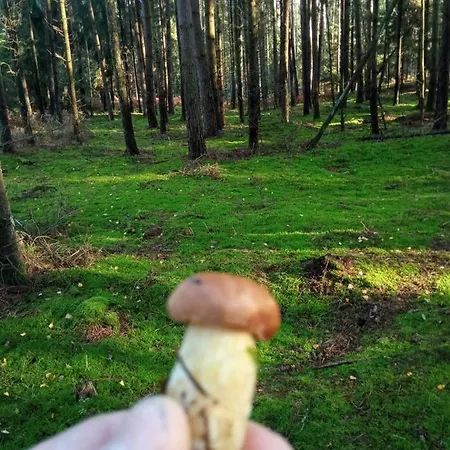 4 Osobowy Privat bolig