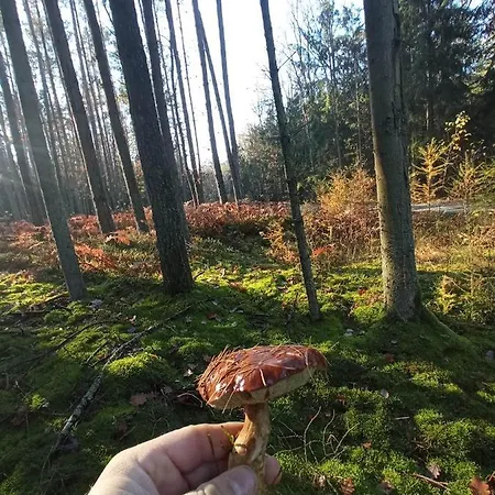 منزل للإقامة 4 Osobowy